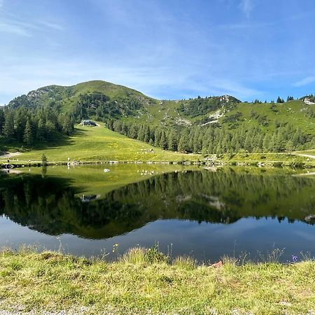 Appartamento Flatzerhof Haus im Ennstal Esterno foto