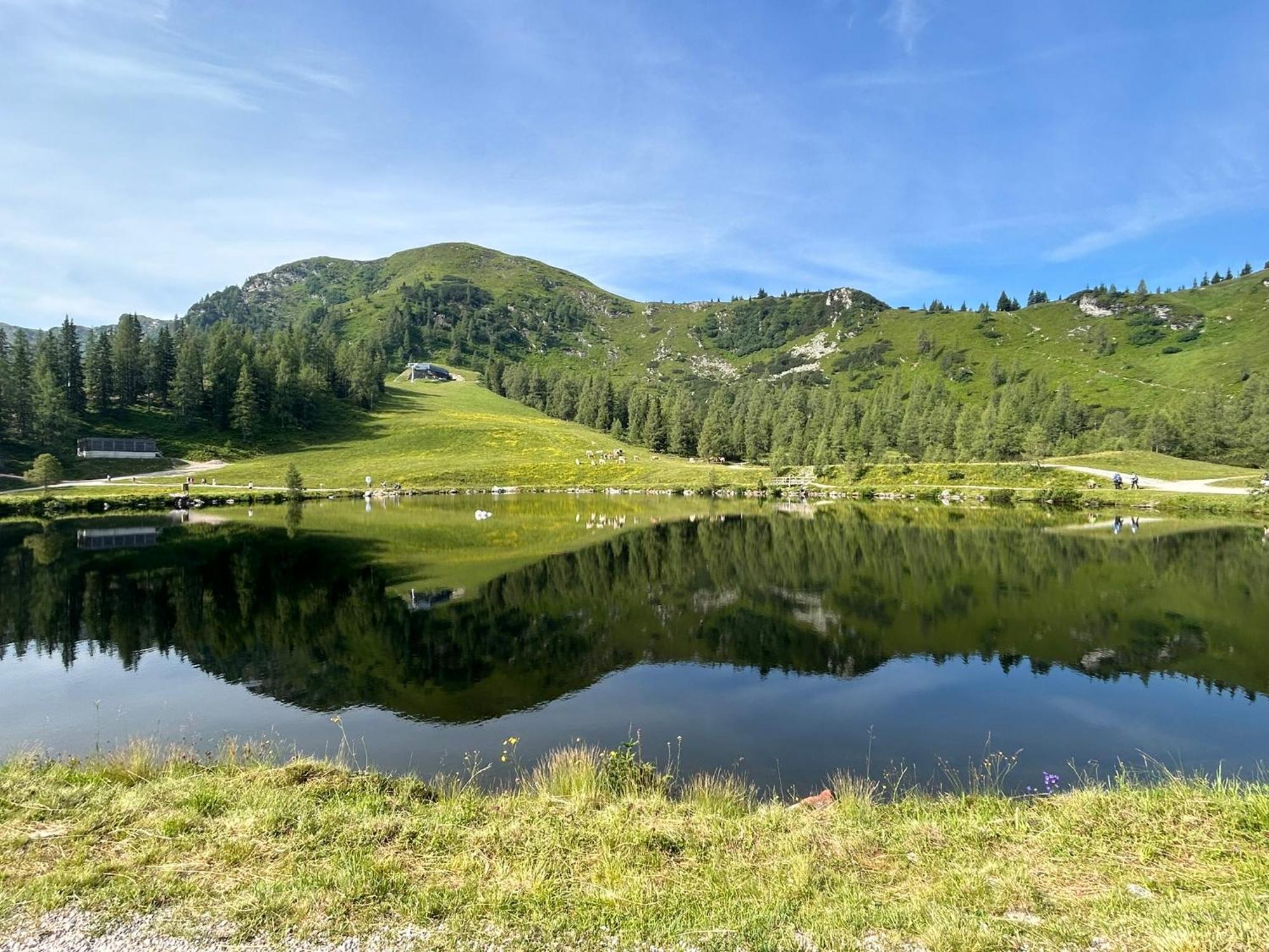 Appartamento Flatzerhof Haus im Ennstal Esterno foto