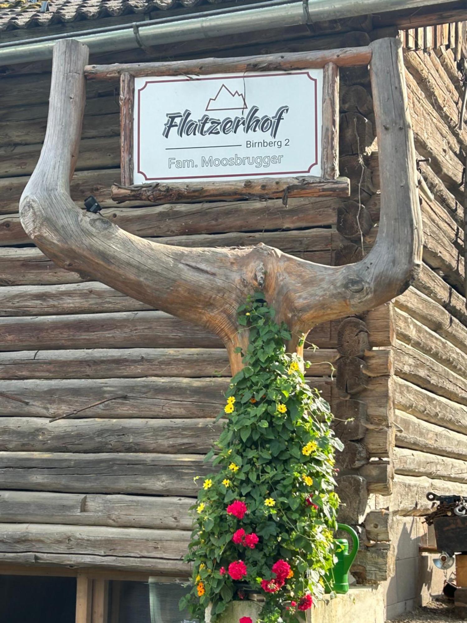 Appartamento Flatzerhof Haus im Ennstal Esterno foto