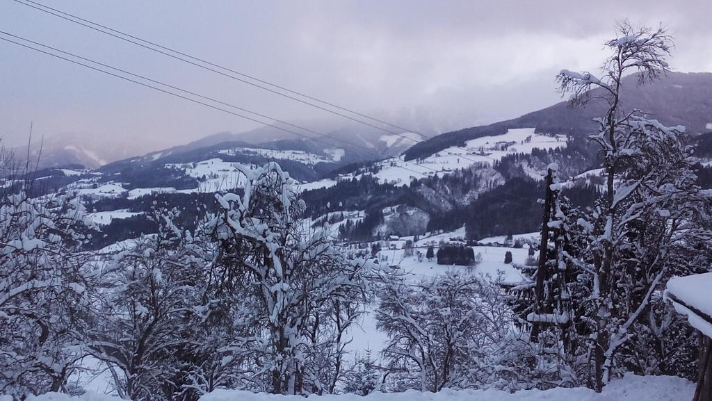 Appartamento Flatzerhof Haus im Ennstal Esterno foto