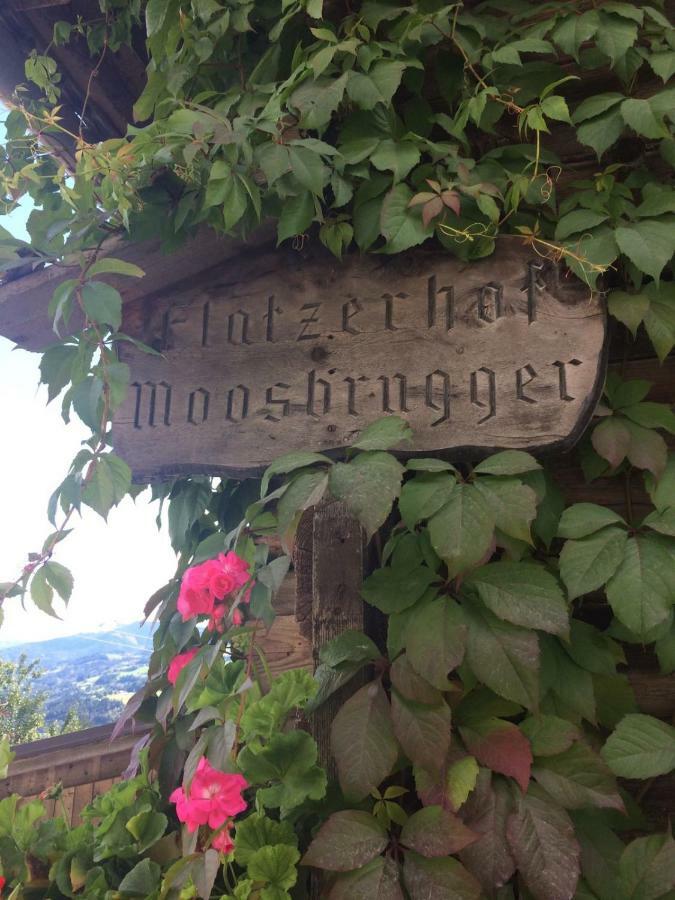 Appartamento Flatzerhof Haus im Ennstal Esterno foto